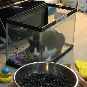 Meet your Posher, Evelyn